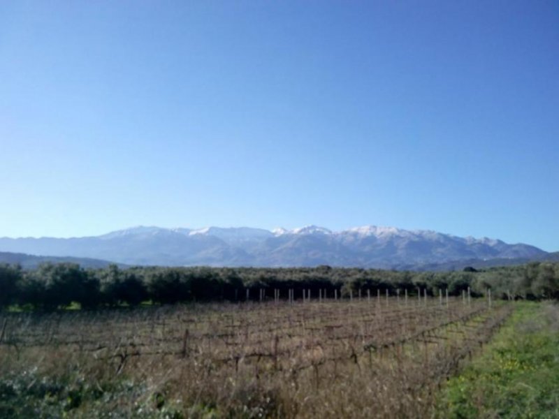 Kalyves Kreta, Kalyves: Grundstück mit toller Aussicht in Apokoronas zum Verkauf Grundstück kaufen